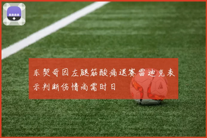 东契奇因左腿筋酸痛退赛雷迪克表示判断伤情尚需时日